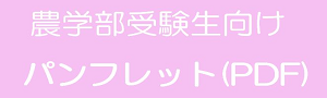 受験情報冊子をダウンロードできます[PDF形式]